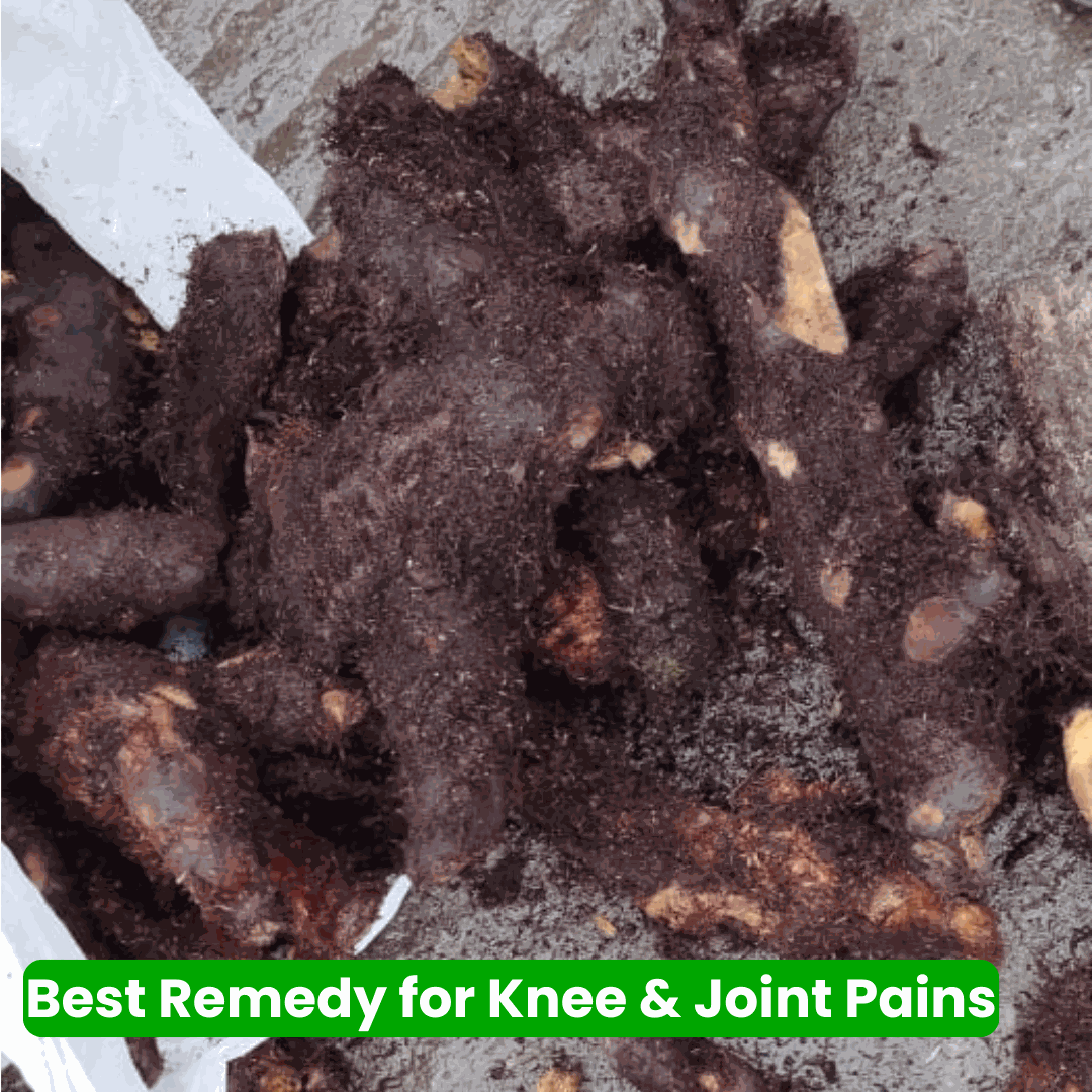 Mudavattukal Kilangu