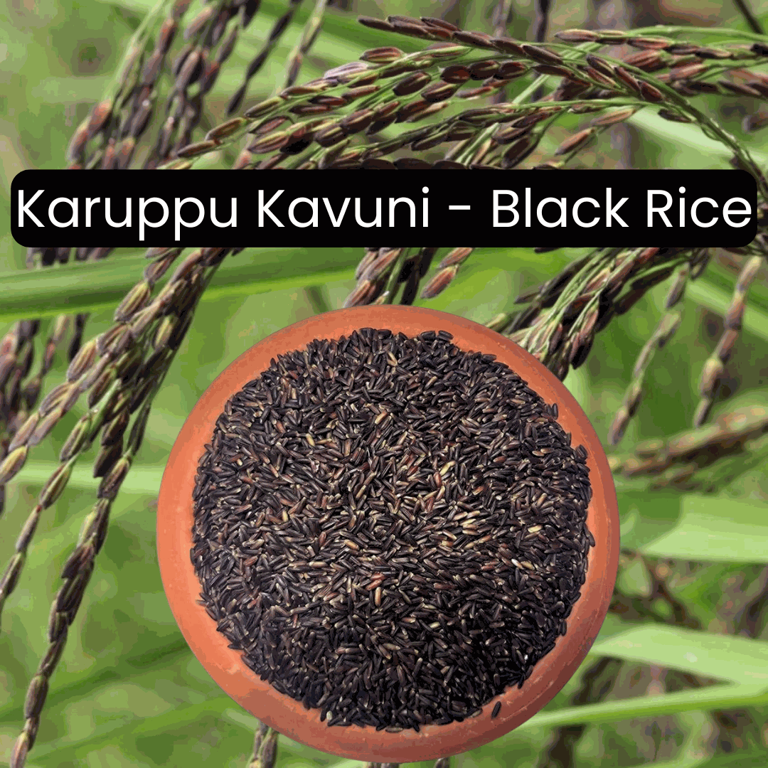 karuppu kavuni rice